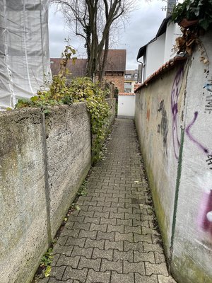 Image-27641