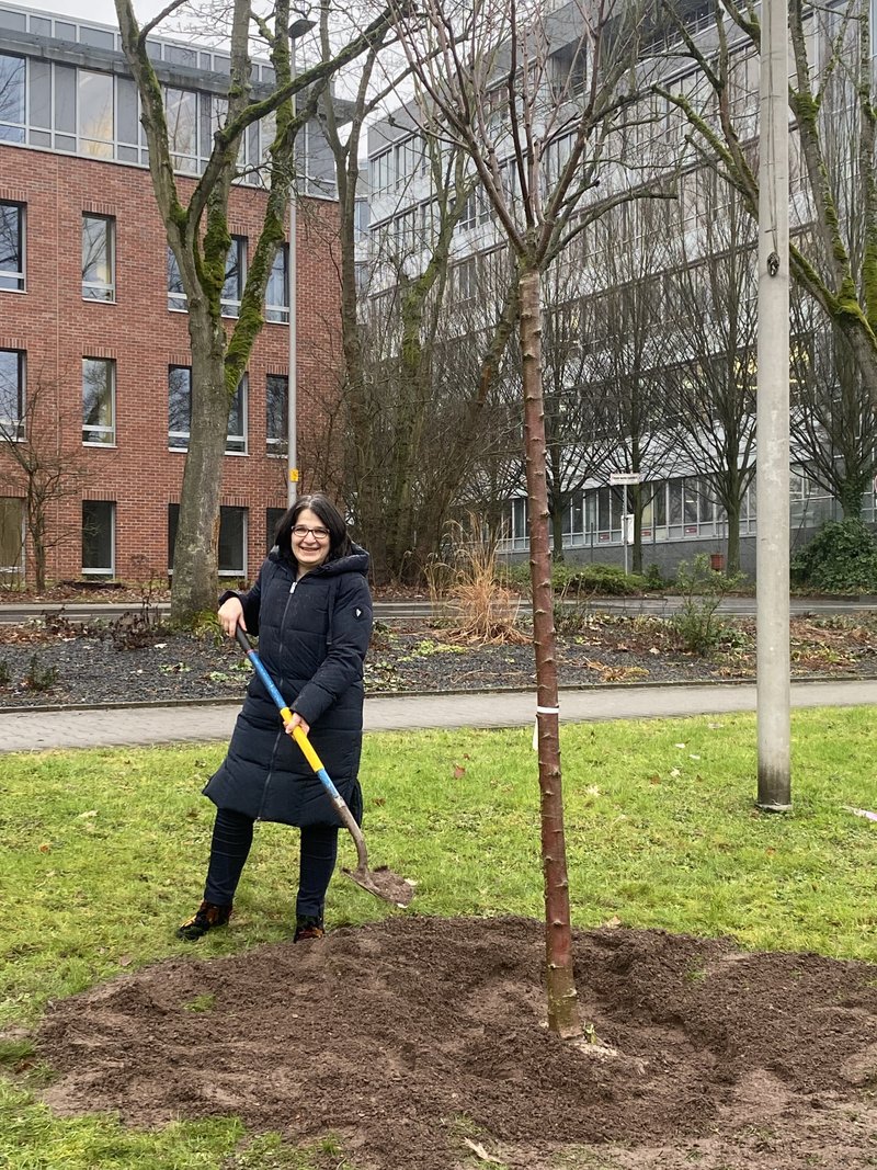 Erste Stadträtin Grade steht in dunkler Jacke mit Spaten neben einem neugepflanzten Baum