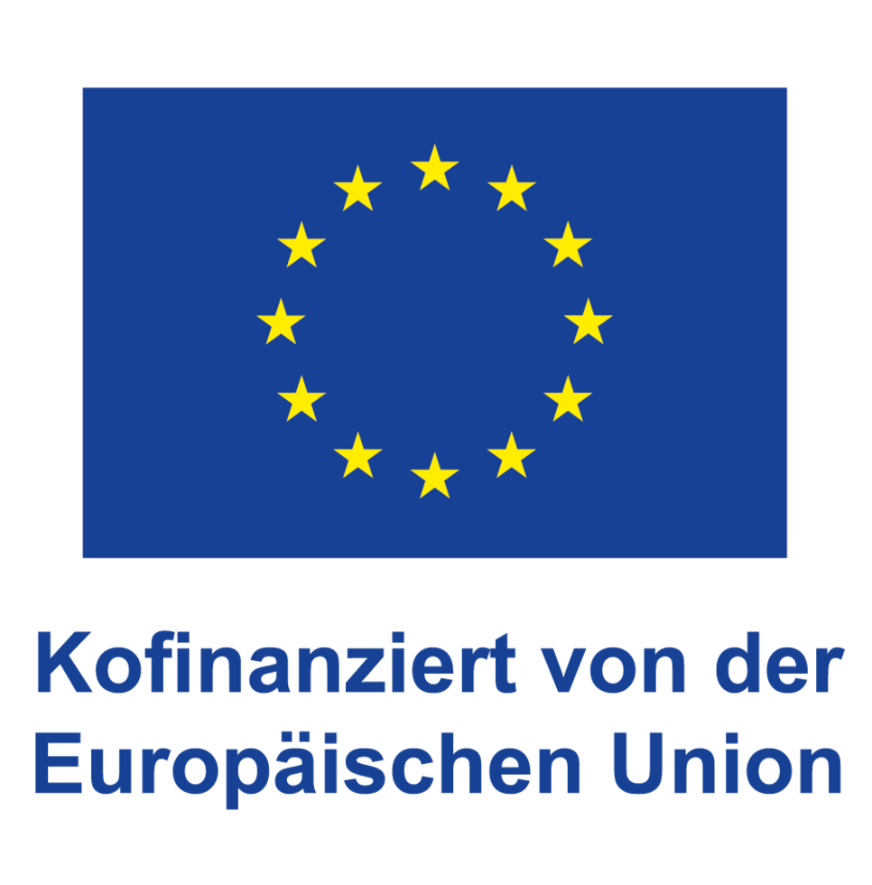 DE_V_kofinanziert_von_der_Europaeischen_Union_POS