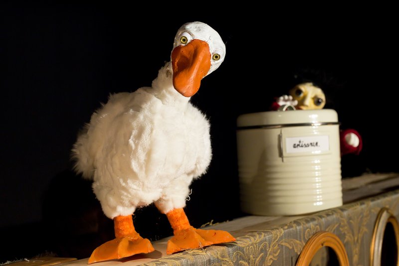 Eine weiße Gans steht vor einem weißen Eimer. Sie schaut den Betrachter an.