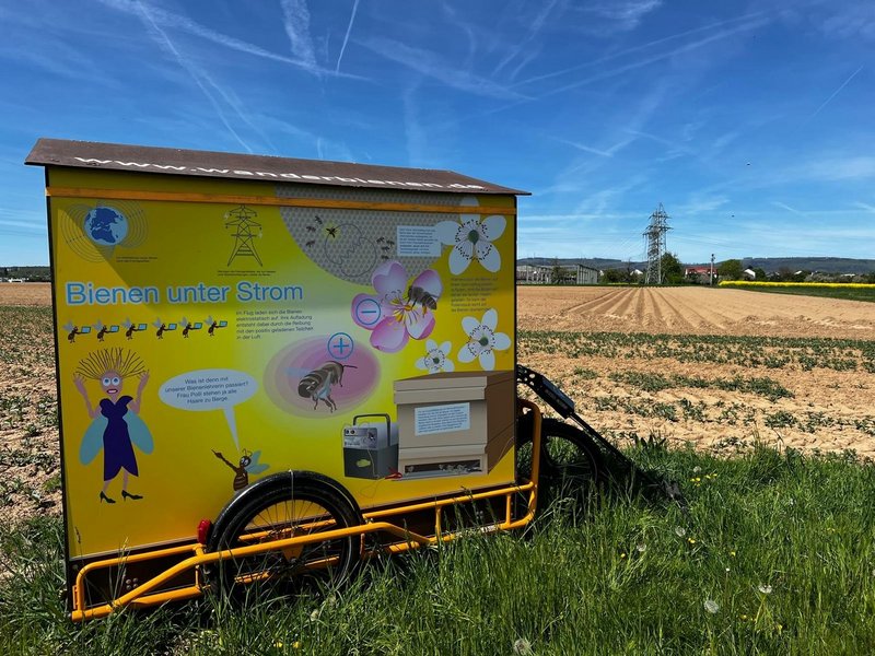 Bienenwagen mit Graphic Novel